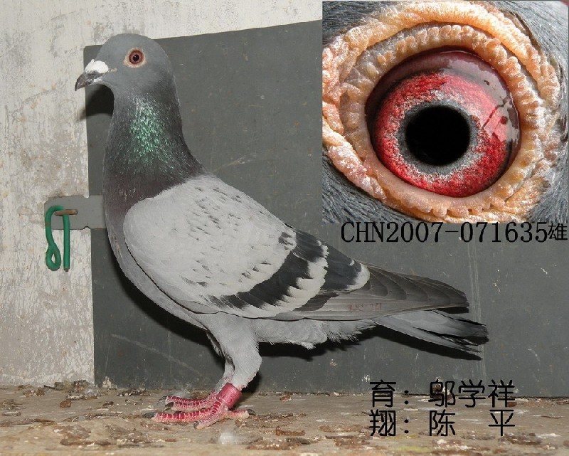 ڶƽӭh(hun)̖(ho)071635.c(din)ɰ
